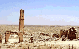 Universität Harran
Reste der großen Moschee
